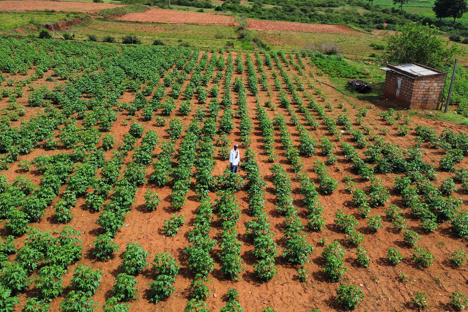 2022 India Protect Tiger Habitat - Farmer in India