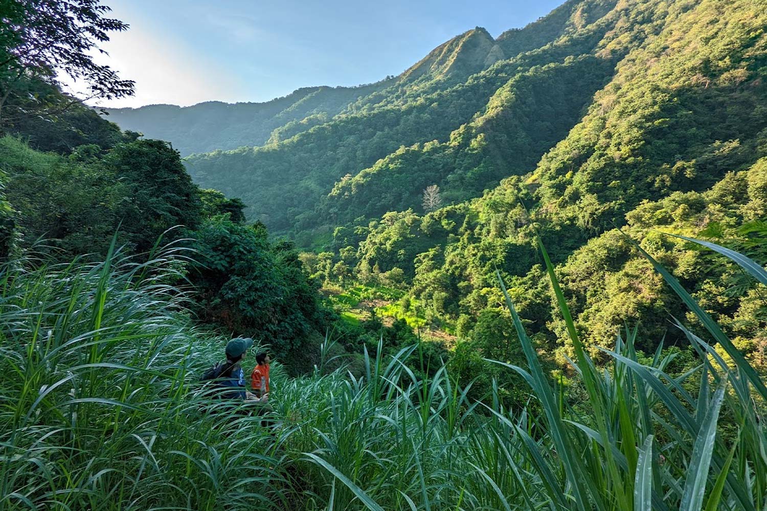 2022 Reforestation volunteers in jungle