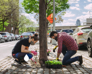 Urban Forestry