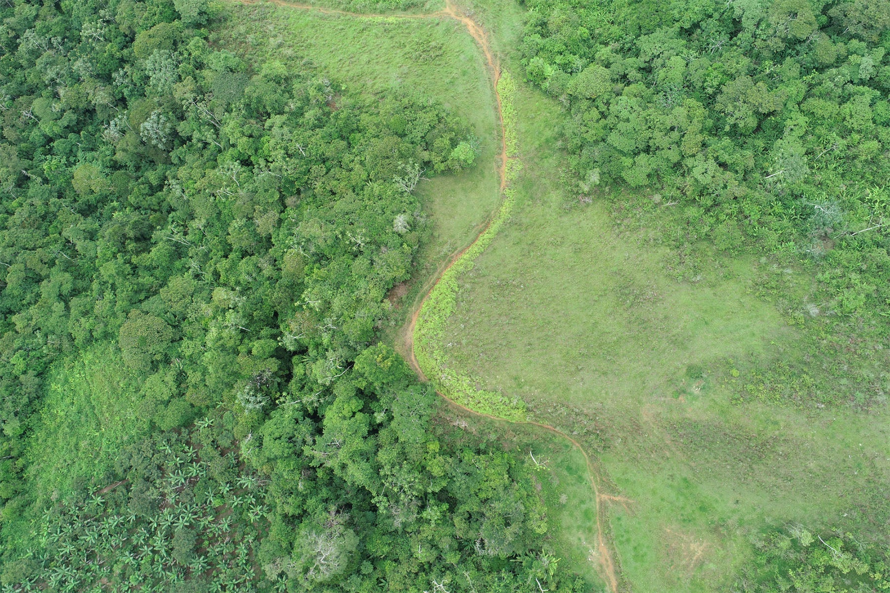 aerial drone shot monitoring