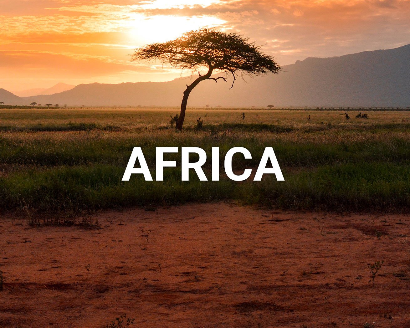 Africa