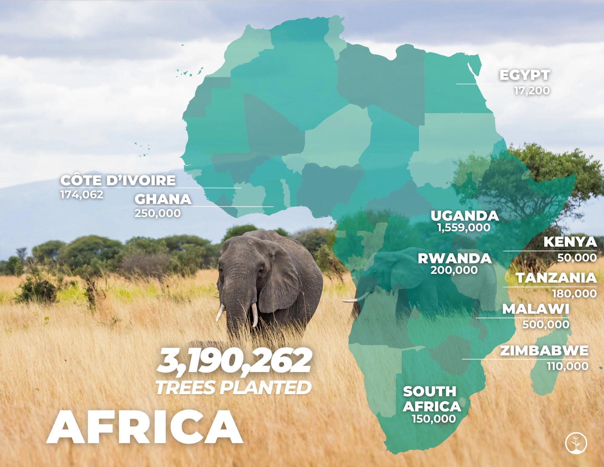 africa one tree planted stats