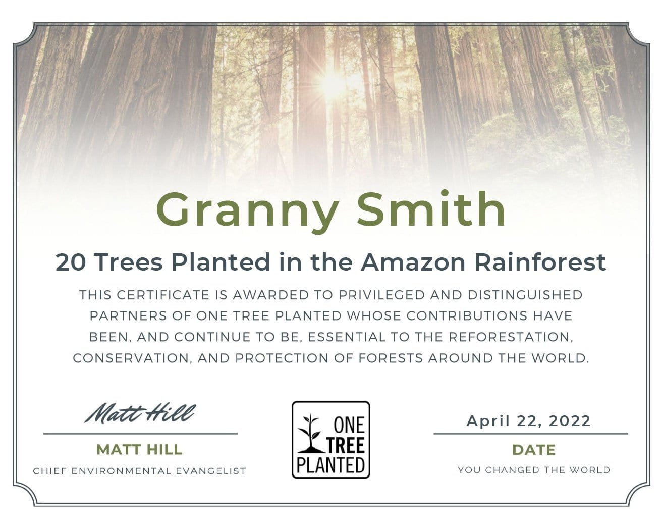 Amazon rainforest Tree Certificate