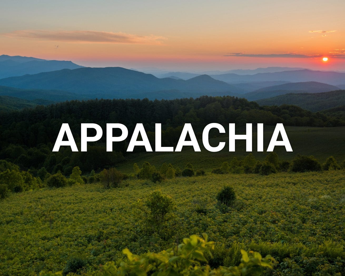 Trees and mountains in Appalachia