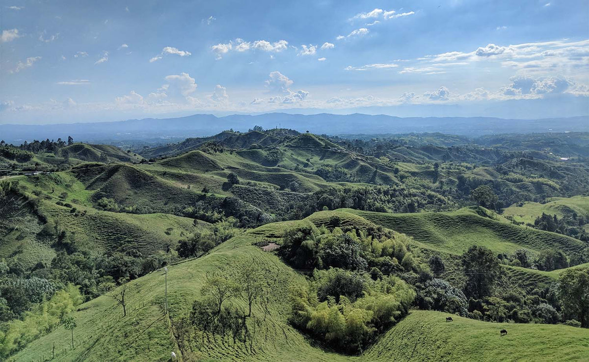 Colombia