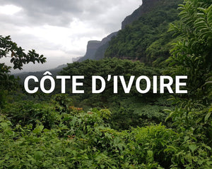 Côte d'Ivoire