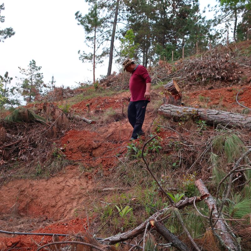 Enact Erosion Control