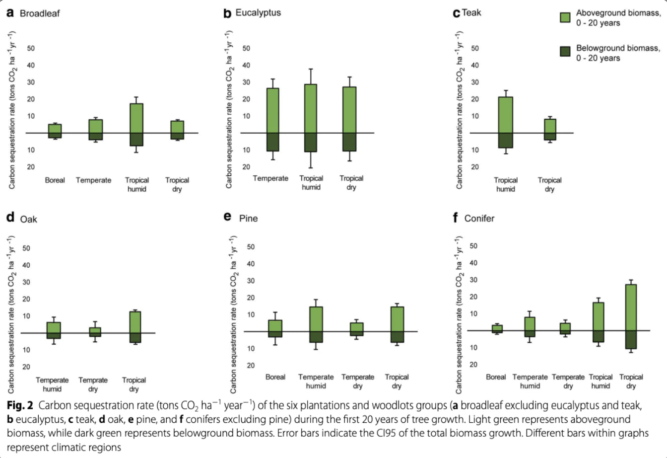 figure 2 carbon per tree