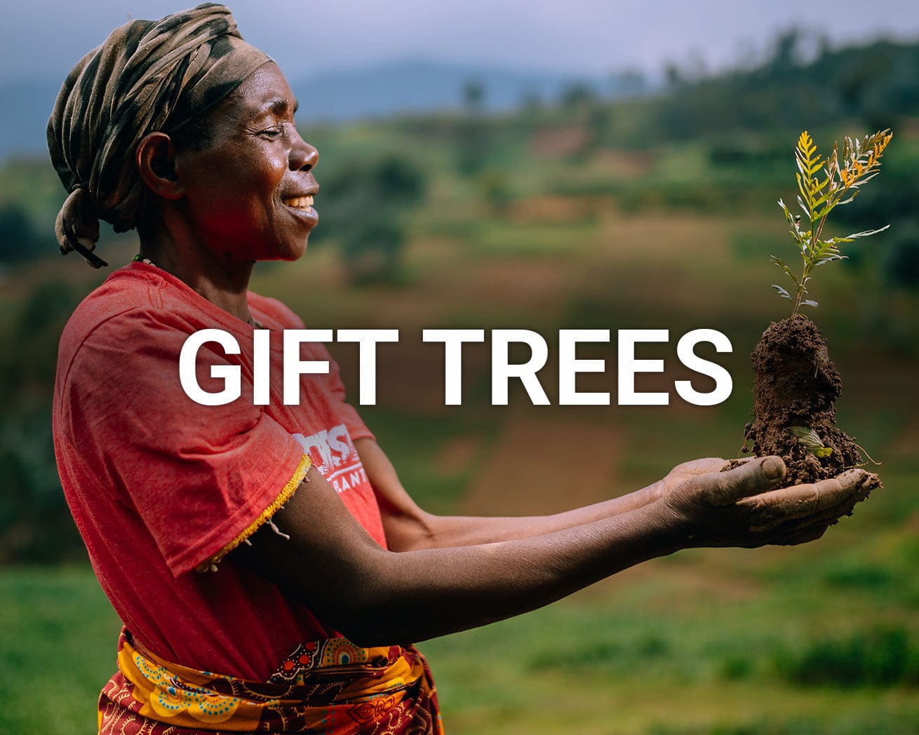 Gift Trees