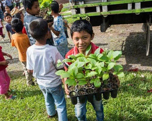 Guatemala