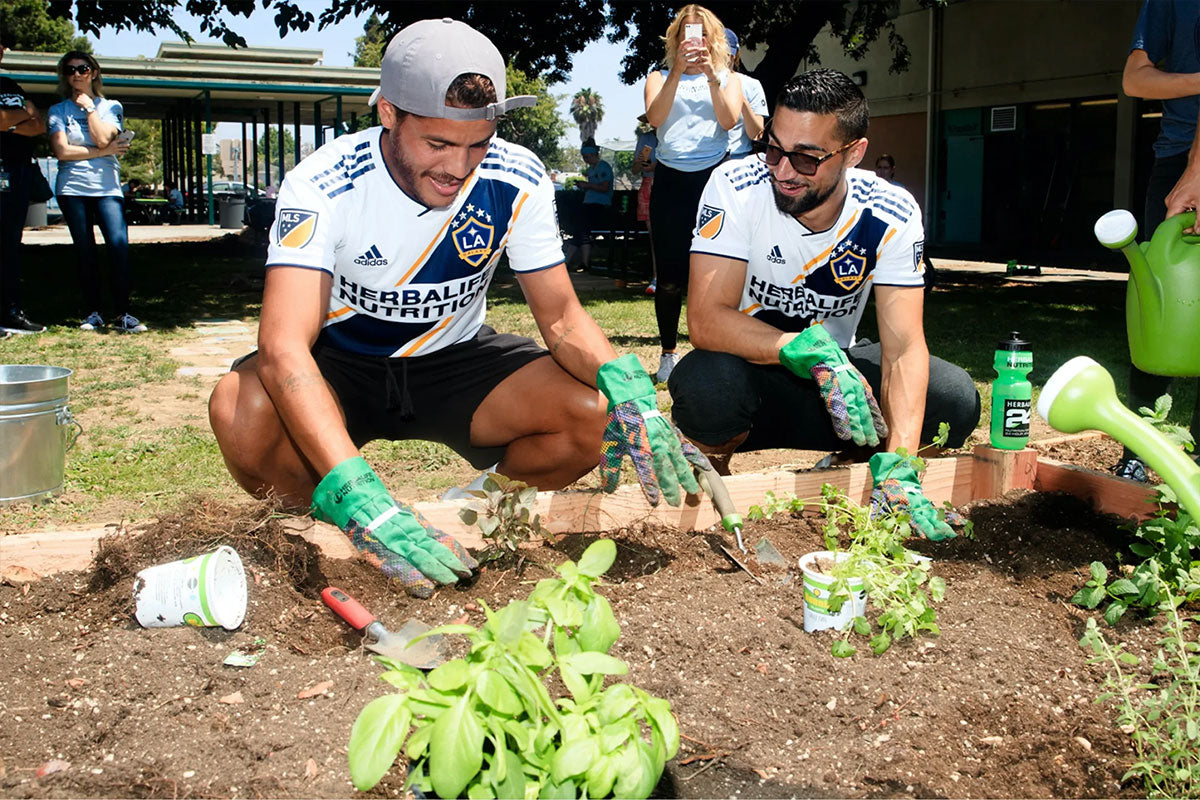 Together, Building A Forest - Major League Soccer