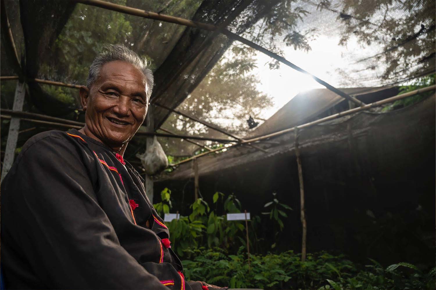 Man in plant nursery