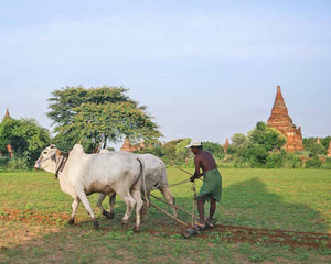 Myanmar