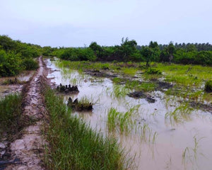 Myanmar