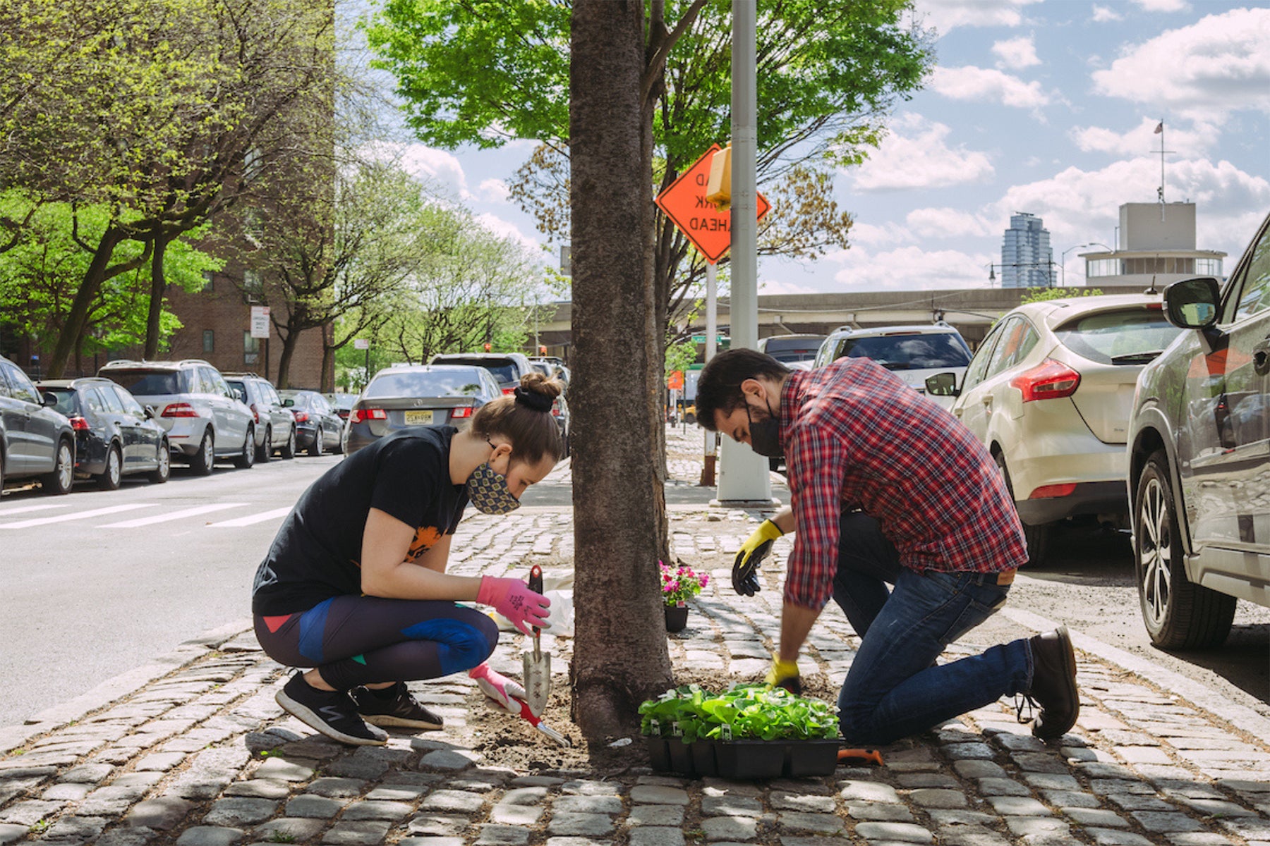 Urban Reforestation