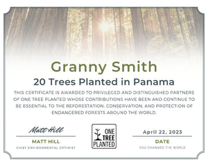 panama tree certificate