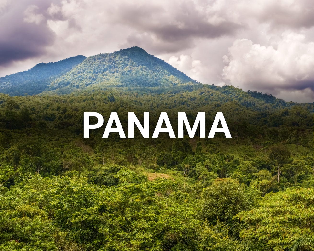 panama main image