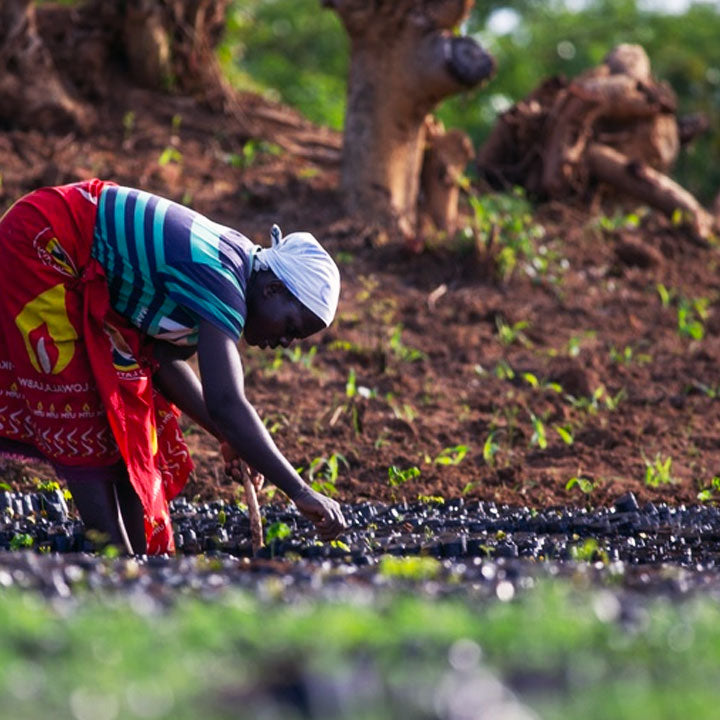 Restore Soil Health