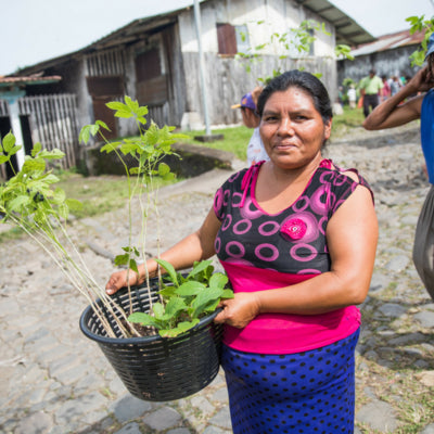 Local community in Honduras planting trees