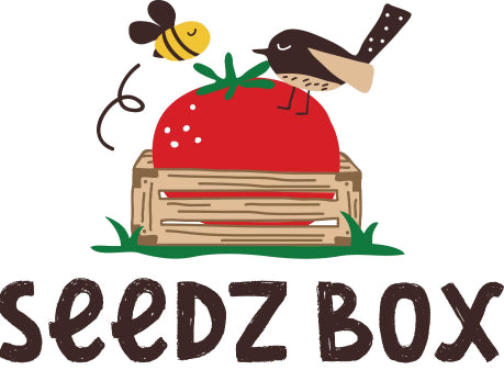 Seedz Box