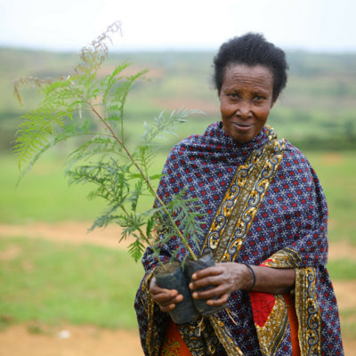 Woman planting trees in Rwanda