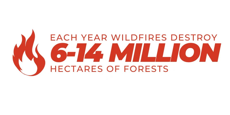 Each year wildfires destroy 6-24 million hectares of forests