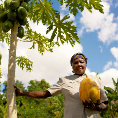 Haiti local farmers