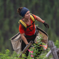 Woman tree planter