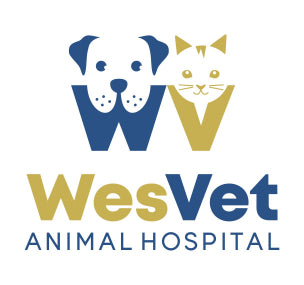 WesVet Animal Hospital