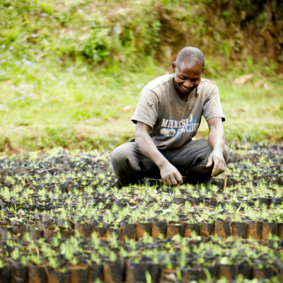 Tanzania local farmer 