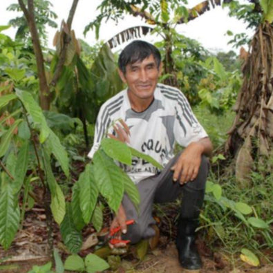 Local amazon rainforest farmer
