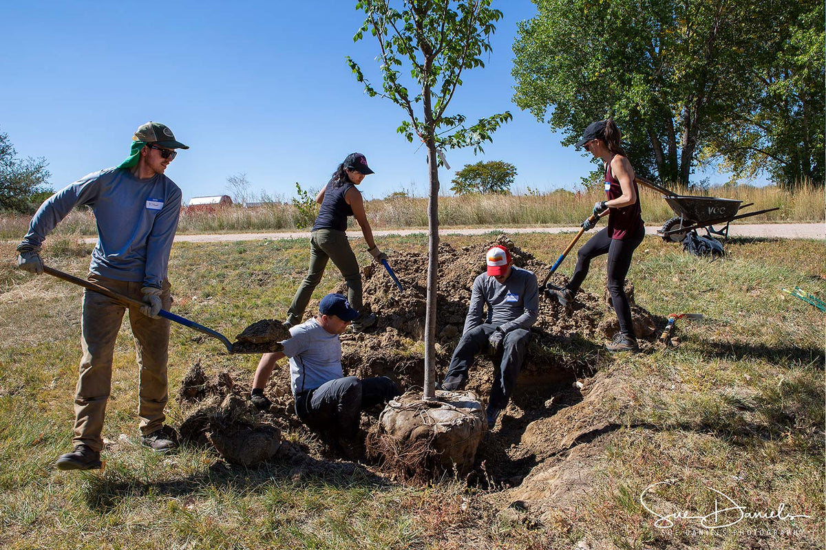 Plant A Tree Day - Denver, Colorado - Volunteers for Outdoor Colorado