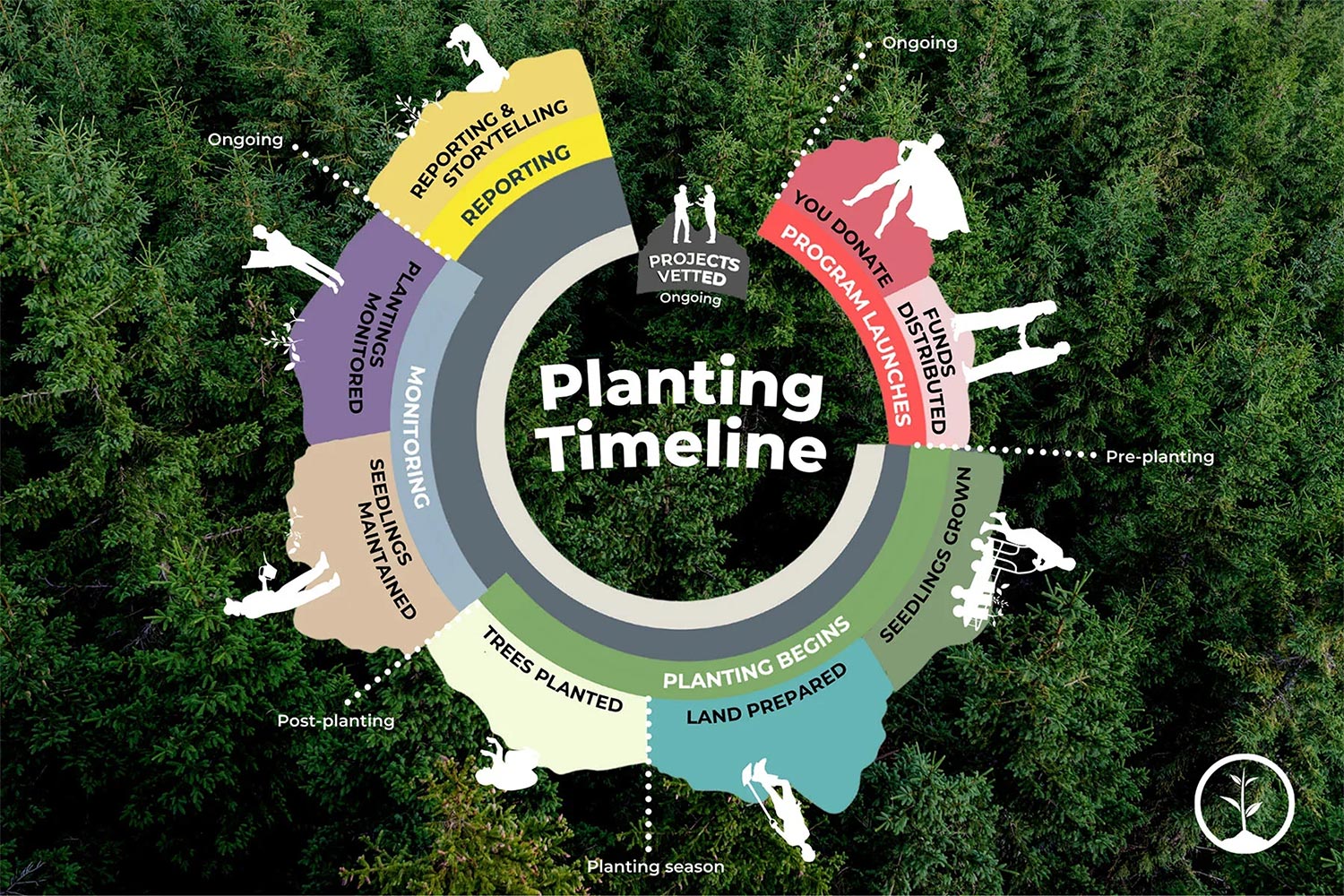 Planting timeline