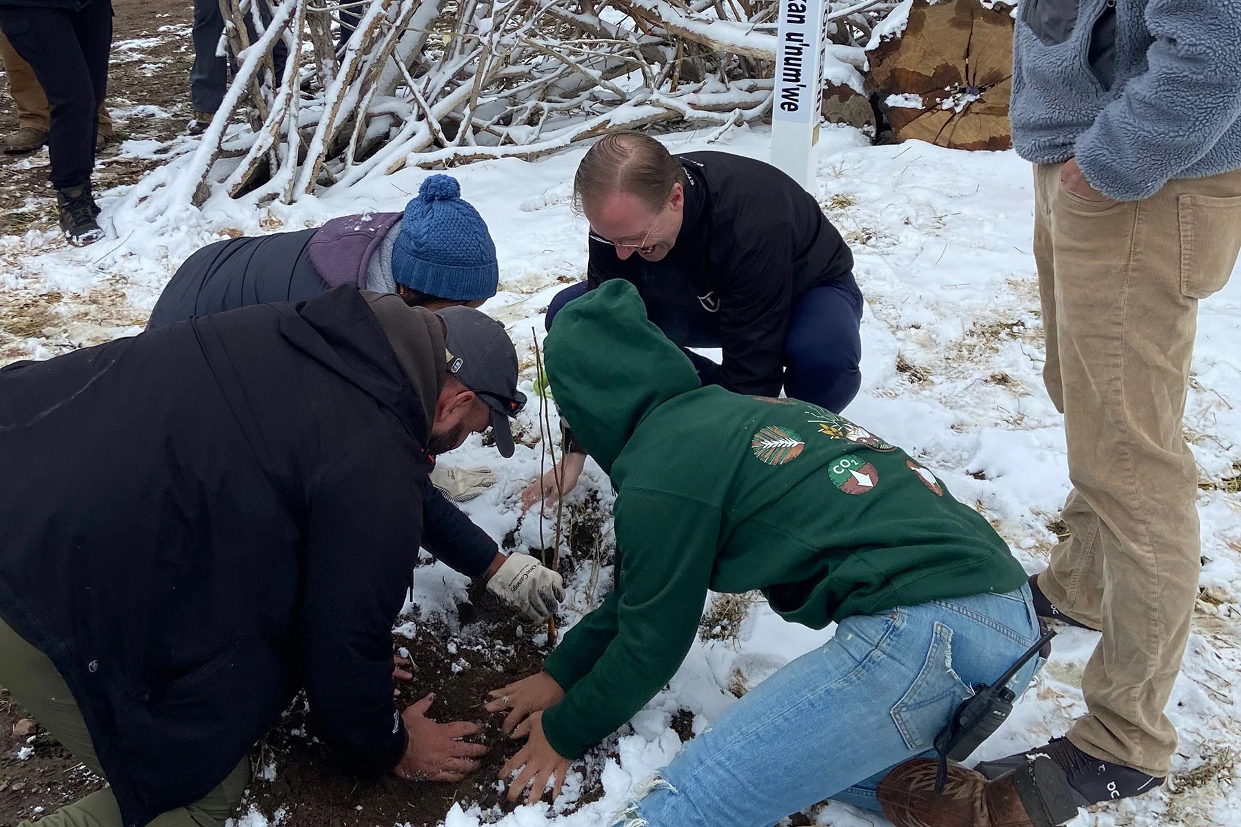 planting tree with prt earth day 2023