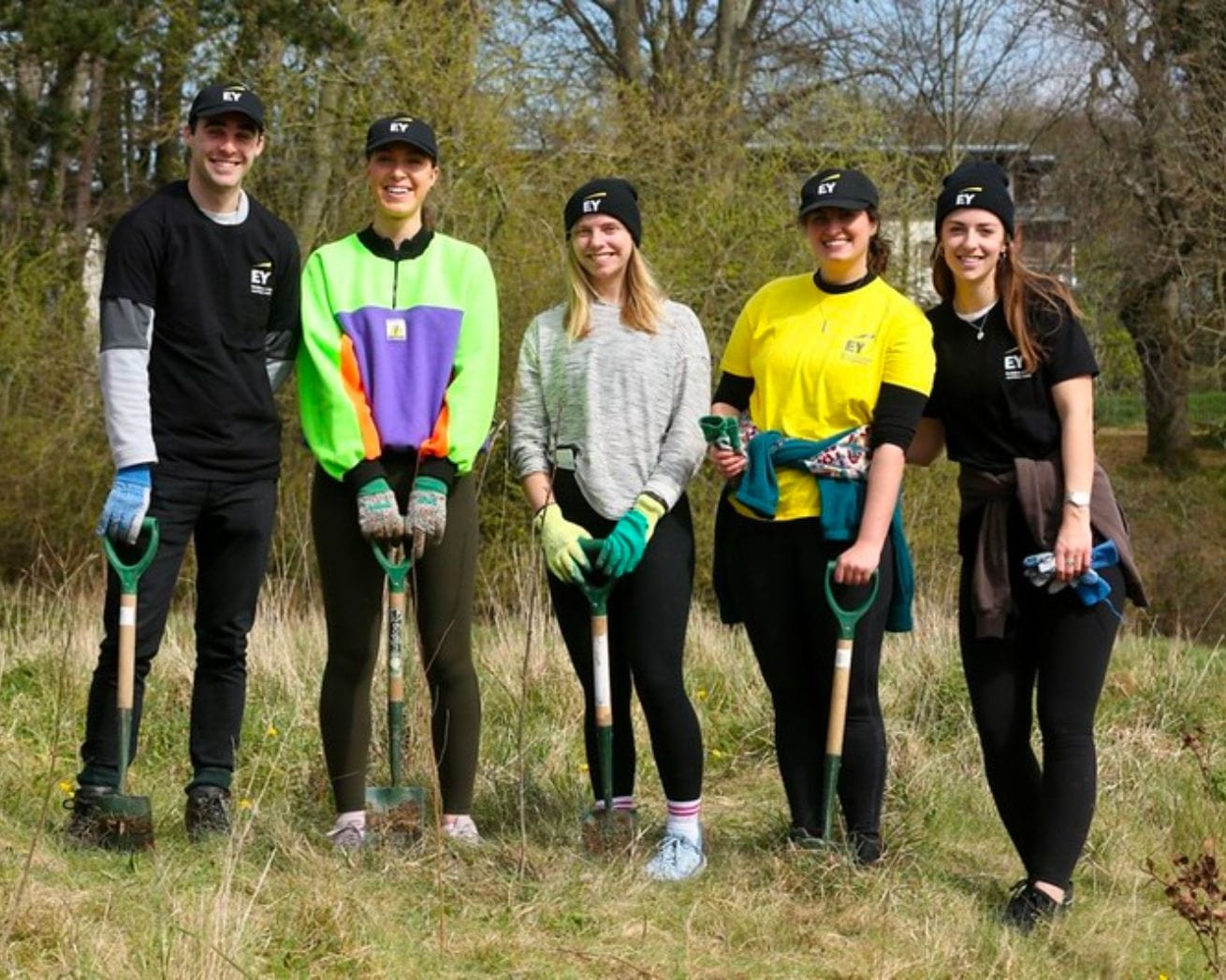 planting group in ireland