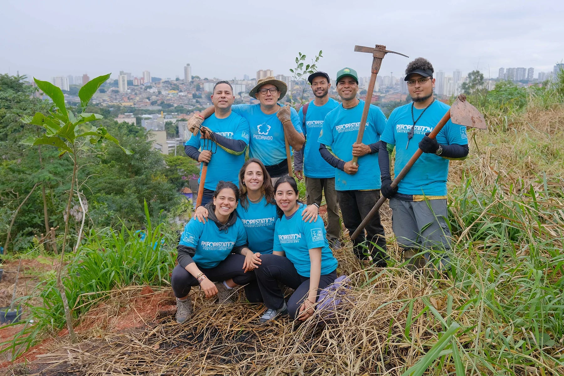 reforestation brazil