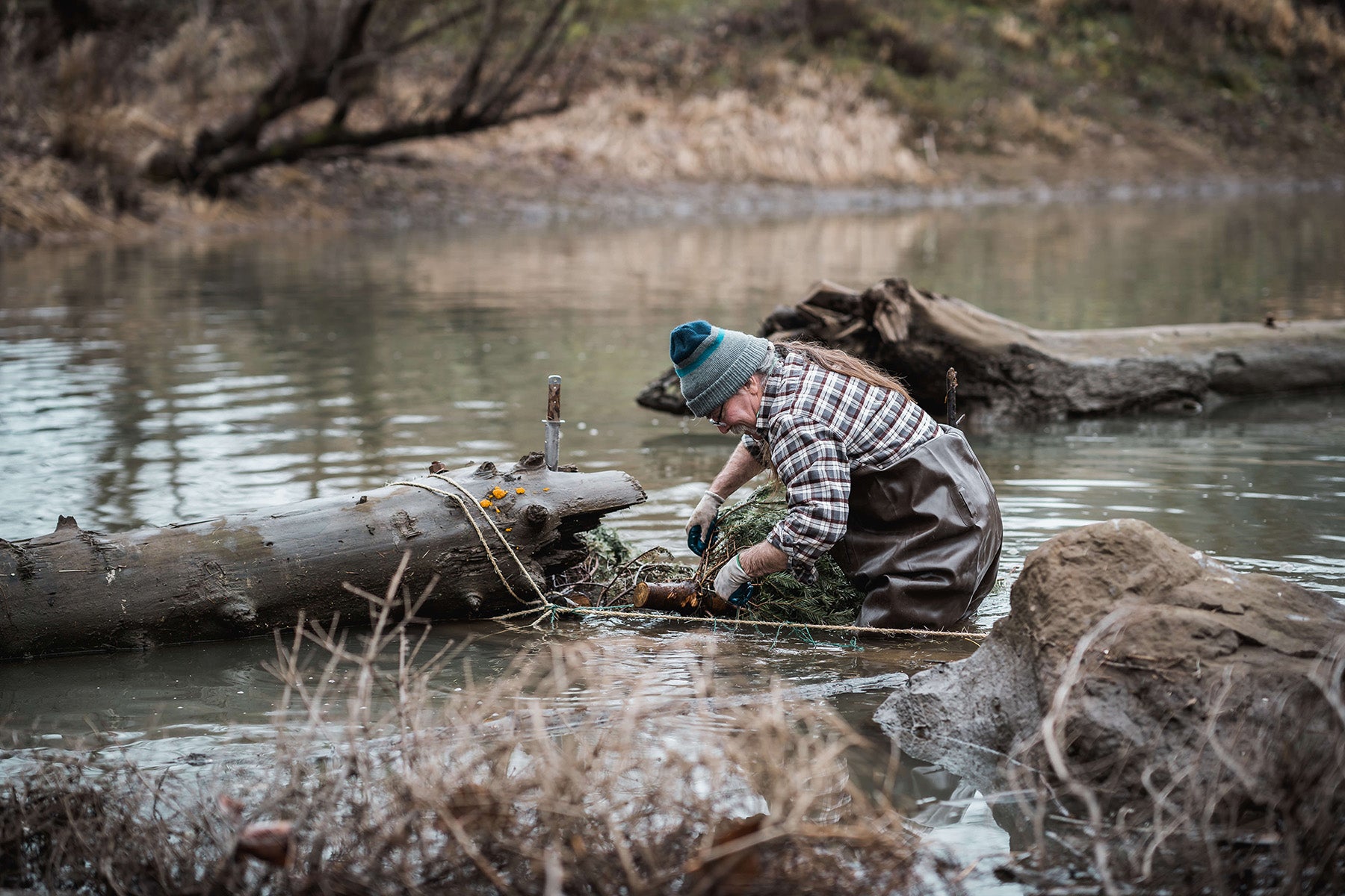 riparian restoration pacific northwest riparian restoration pacific northwest