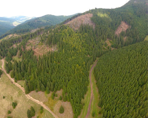 Aerial shot of Romanian mountains where trees have been cut down.