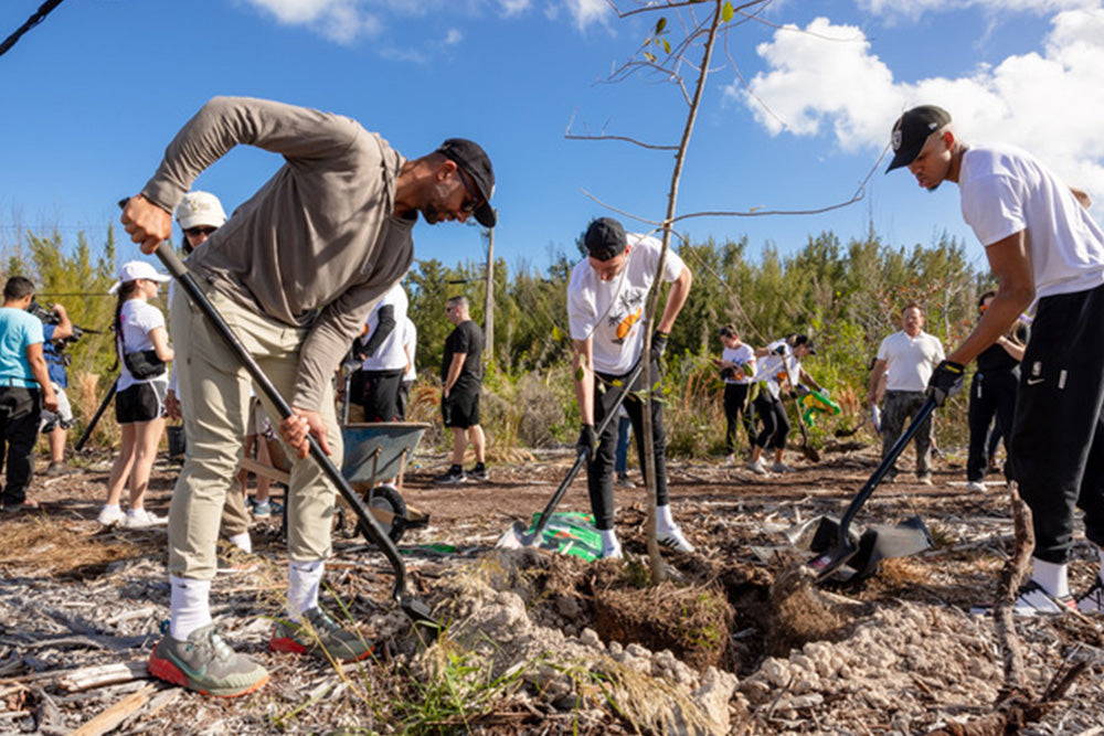 State Park Restoration Miami HEAT