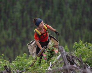 Tree planter