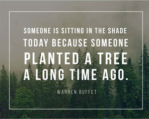 Tree Quote Card