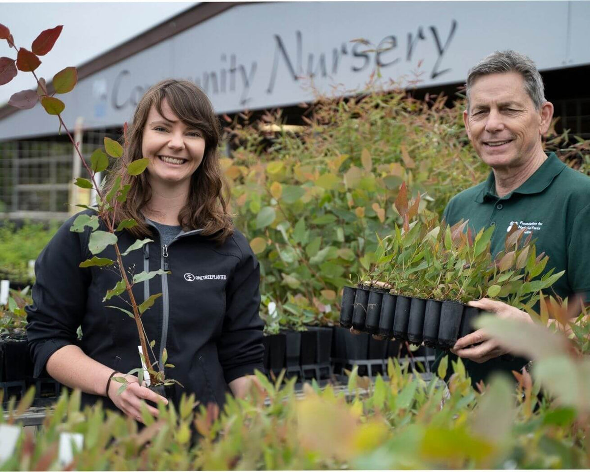 Tree Nursery in Australia