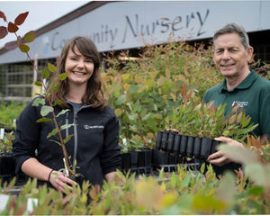 Tree Nursery in Australia