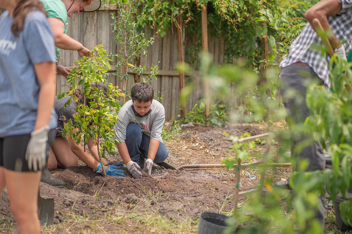 Tree planting event