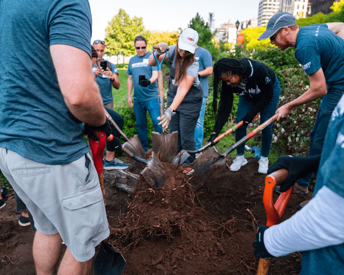 Urban Forestry