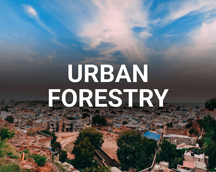 Urban Forestry