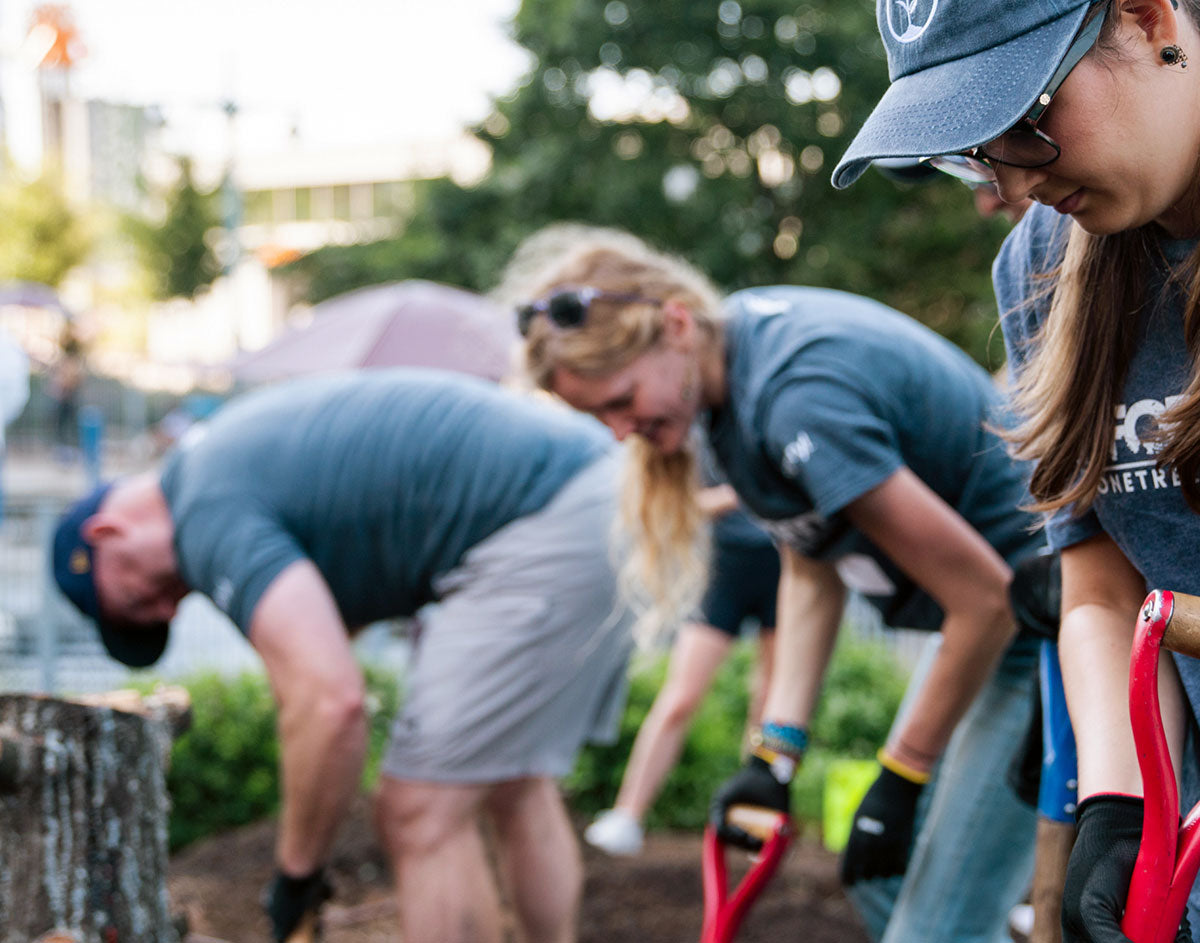 urban-forestry.jpg__PID:0789639b-5746-4ba9-bc38-ab1c8f870fe8