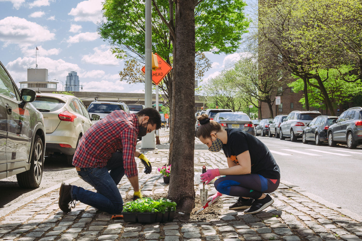 Urban forestry