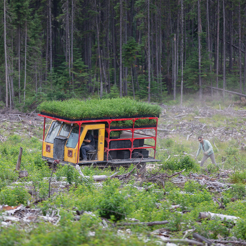 Increased Climate Resilience