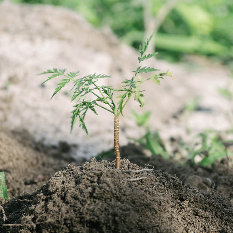 Improved soil health